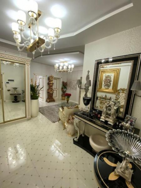 Luxurious apartment in center